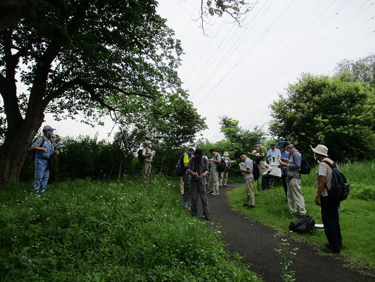 左入城跡・神明神社  　滝山城の出城として築かれたと推察され、西山十右衛門という者が城主であったという伝承が残っています。 　総大将の武田勝頼は尾崎山に陣城を築いています。  　左入城と尾崎山は約１．５キロしか離れておらず、滝山城の前哨戦として攻め落とされたともいわれます。  　左入神明神社の創建年代等は不詳ながら、建久元年（1190）の創建とも元文元年（1204）の創建とも。