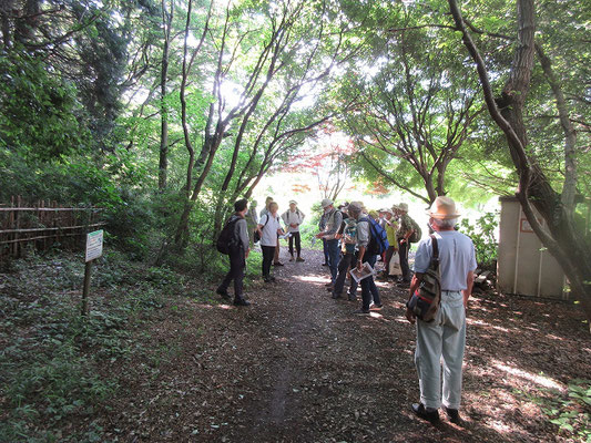 丸山城付近の探索してよこやまの道へ 黒川配水場の付近が丸山城と呼ばれており、物見や烽火台ではないかと思われます。　　　　　