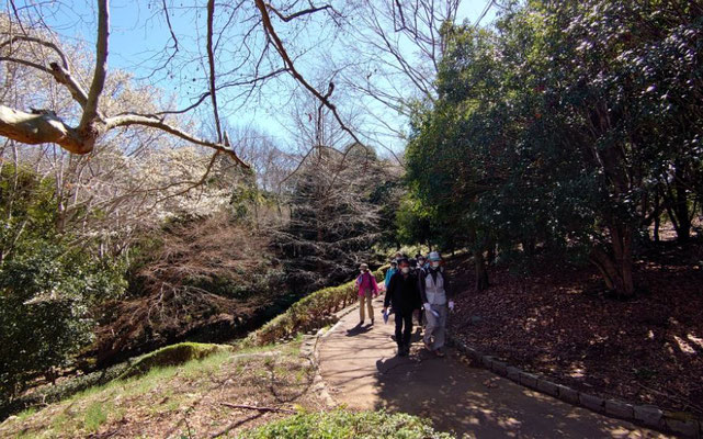 連光寺公園