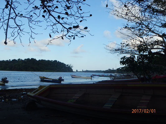 im Hafen von Port Antonio Jamaica