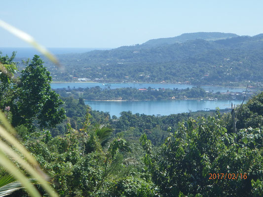 der Sichere Hafen Port Antonio