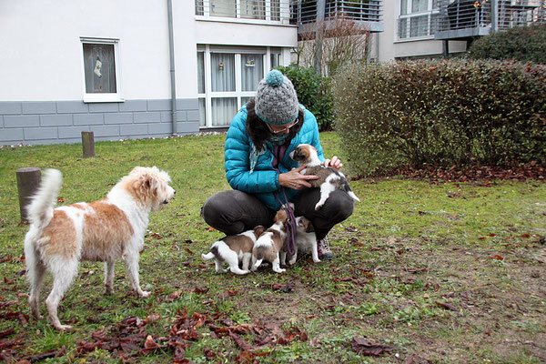 Gerhild mit Aila, Charlie, Carlo, Murmel & Cookie