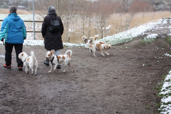 Bille, Amber, Nomi, Cataleya & Nika