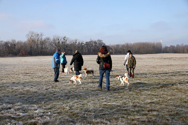 Bille, Nika, Anton, Cylie & Akira