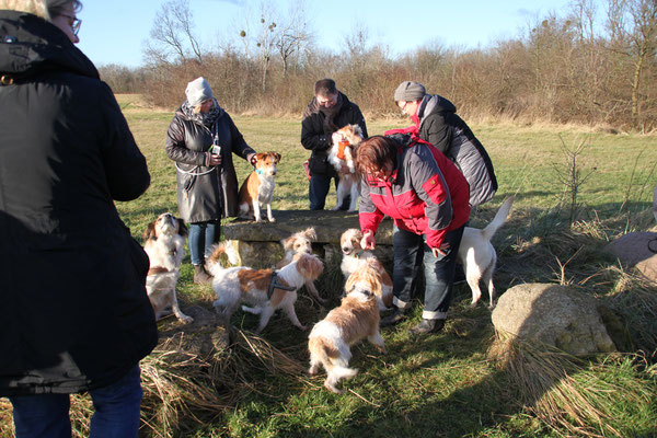 Versuch eines Gruppenfotos beim 46. Braunschweiger Kromi-Spaziergang am 15.01.2018