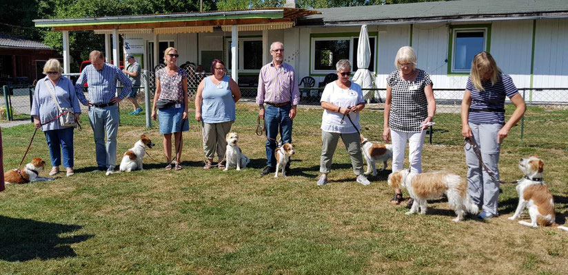 Debbie vom glatten Kiesel, Apple von der Reidter Laach, Cataleya vom langen Fuchsbau, Jolina Castillo Monte Bensi, Nika vom rauhen Stein, Bella vom Wettiner Brunnen und der einzige Rüde: Alonso vom Bonner Bogen