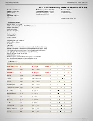 Seite 1 des Ergebnisses von Cataleyas großem Blutbild vom 22.06.2018