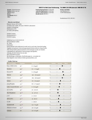 kabous innere werte palaneris webseite