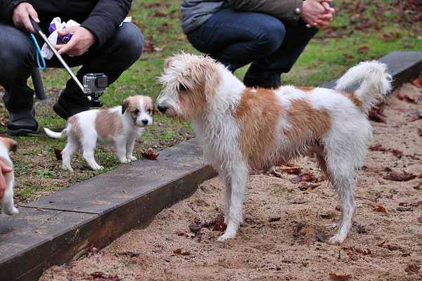 05.01.2019 - 43. Lebenstag: Chuko & Mama Aila