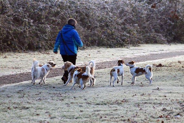 Bille, Nika, Benny, Akira, Kabou & Biela