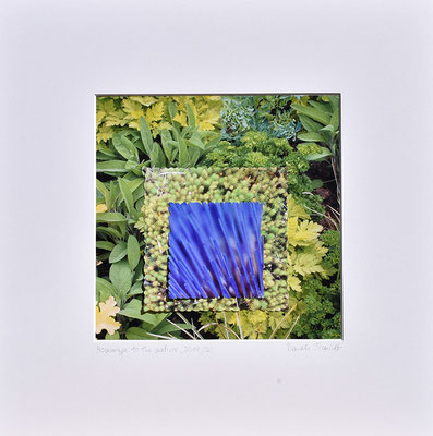 Hommage to J. Albers 2