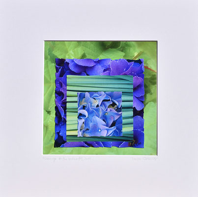 Hommage to J. Albers 3