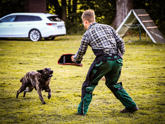 Jugendarbeit ist wichtig, daher kann man auch bei uns Helfer für Schutzhunde werden. 