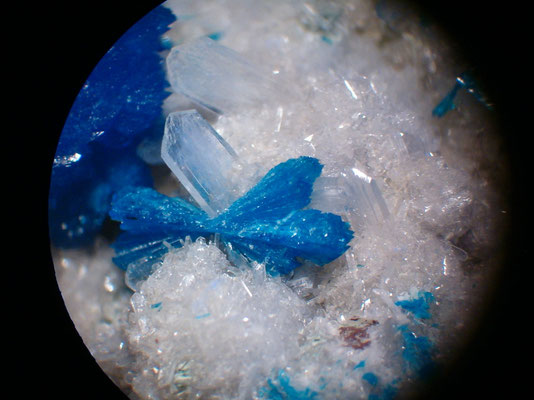 Cavansite