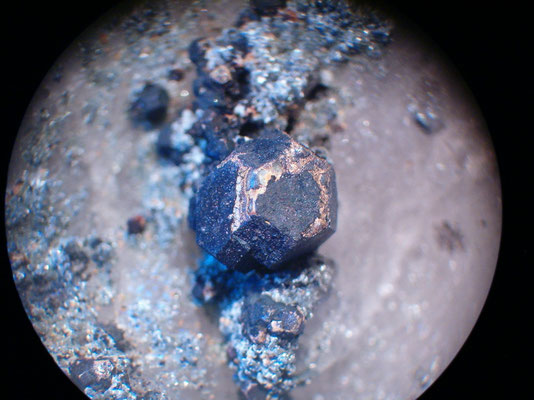 cafarsite