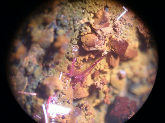 Calcotrichite - Cuprite