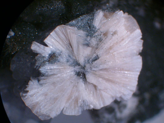 Pectolite
