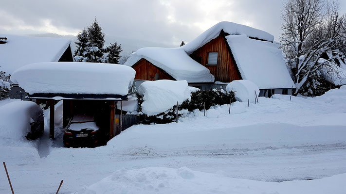 SonnenAlm 177 am 10.01.19