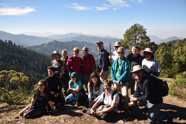 Travel group on a butterfly trip