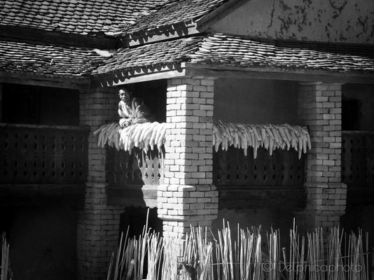 Delphicaphoto - Reportage Madagascar 16