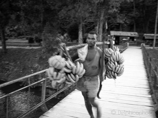 Delphicaphoto - Reportage Madagascar 15