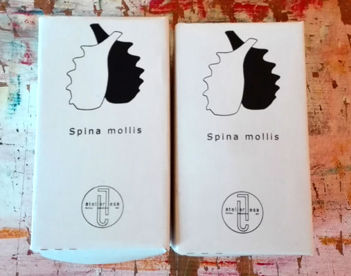 Spina mollis - Essig und Öl Gefäße / Spina mollis - vessels for vinegar and oil  © Juliane Leitner 2016