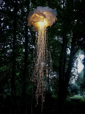 Test Aufbau der Lichtskulptur Medusa im Botanischen Garten © photo by Gerald Hochhauser 2019