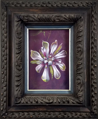 Calycanthus Venus, colour pencil on passe partout cardboard