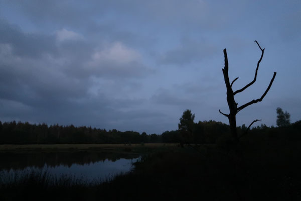 Nightfall, photography