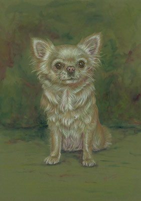 Booboo, pencil and acrylic paint on passe partout (SOLD)