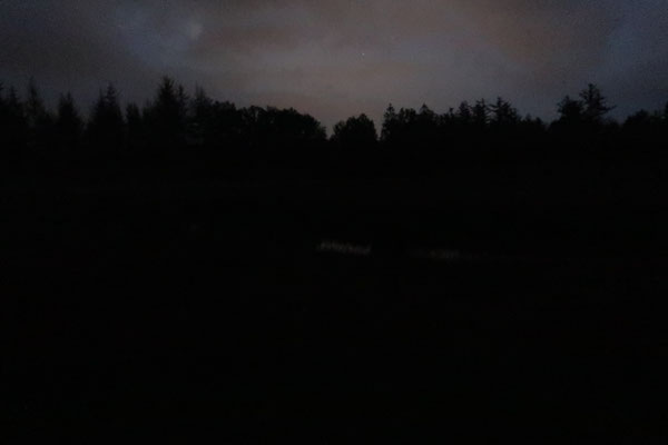 Glow in the dark, photography