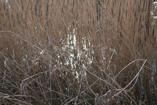 Find your way, photography