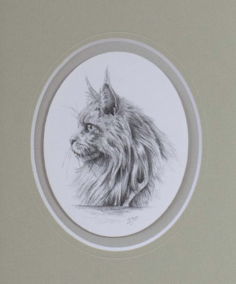 En profil, pencil on paper