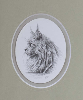 En profil, pencil on paper