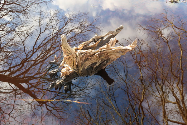 The other dimension, photography
