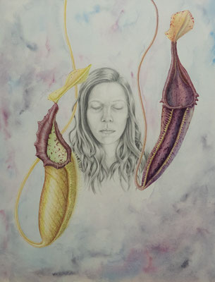 Nephentes Bongso, The legend of my death, watercolour and pencil on Arches paper