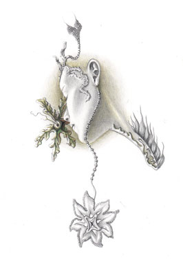 No title, pencil and colour pencil on Arches paper