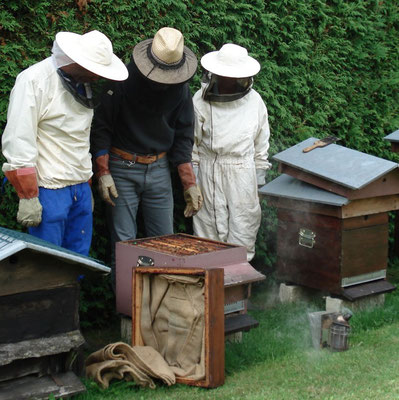 Endosser la combinaison d'apiculteur