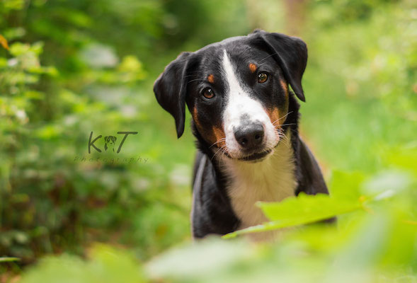 Week 23 - Cute looking