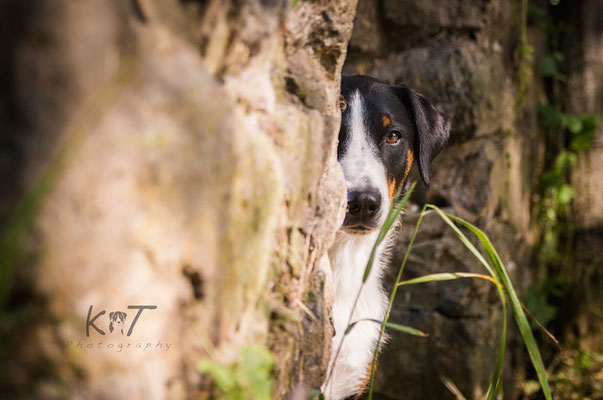 Week 24 - Behind the wall