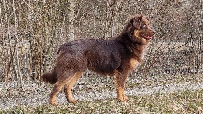 März 25, 9 Monate alt