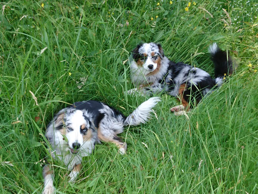 AJUMA und YUMA