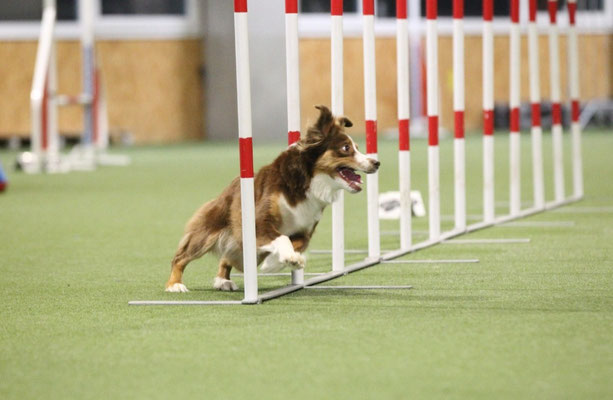 Training 2022
