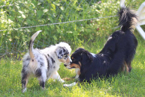 Filou und mama Chanel