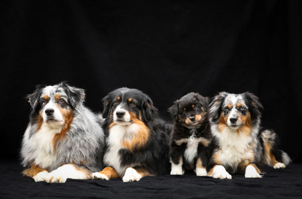 Grossmutter Yuma, Mutter Chanel, Kiwi, Halbschwester Honey Bee