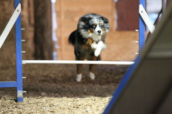YUMA im Agytraining