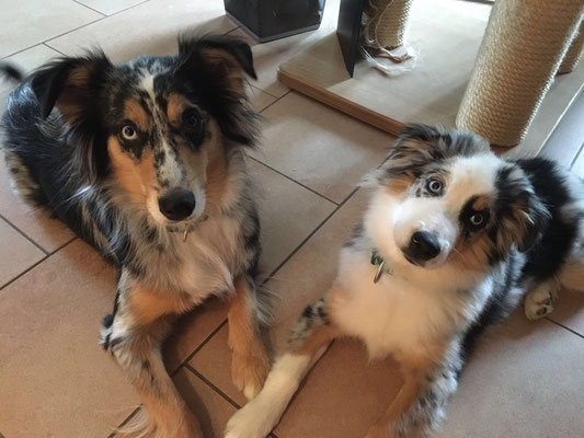 AJUMA (AVERY) & EVITA