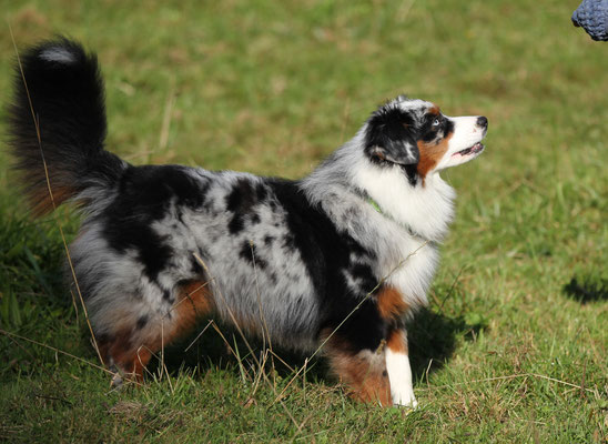 YUMA