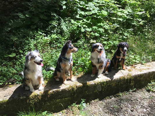 AJUMA, EVITA, YUMA, BREEZE