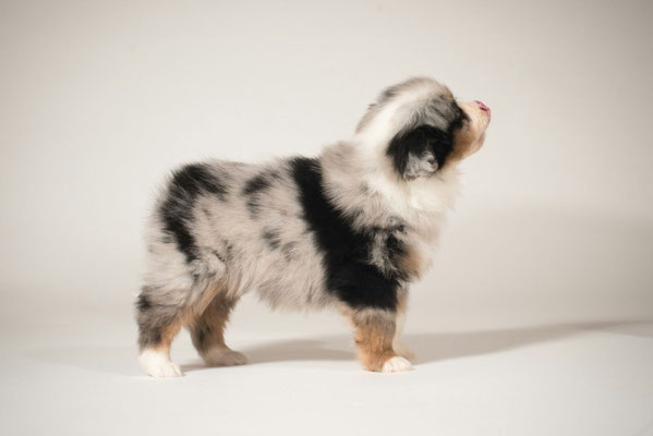 erste Bilder von Yuma